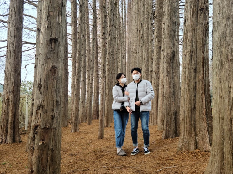  [익산 가볼만한곳] 비밀의정원 "아가페정원/정양원"(+메타세콰이어 길)