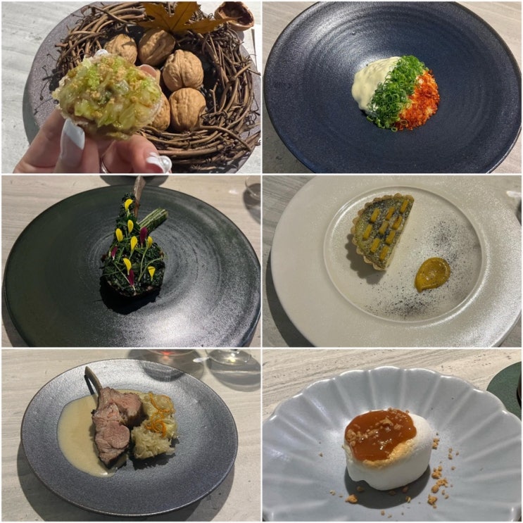  양갈비 오마카세, 프리미엄 다이닝 램브란트 런치 후기