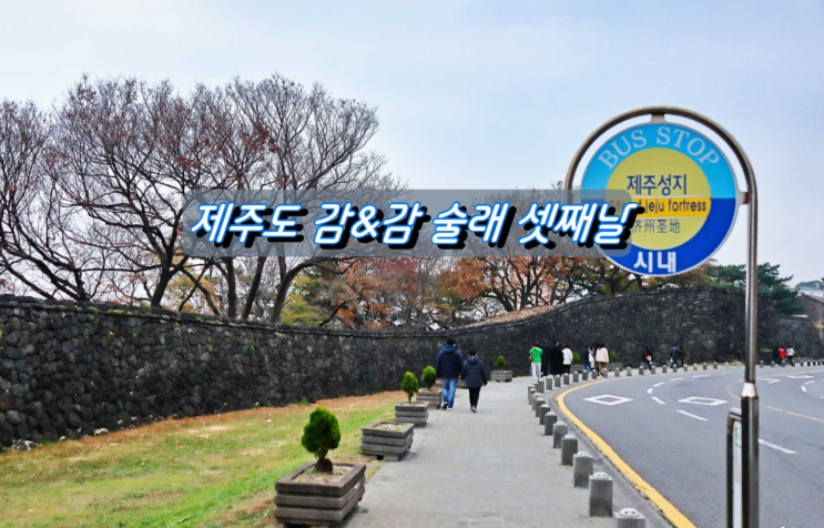 제주도 2박3일 감&감 술래 셋째날 투어 제주도 2박3일 감&감 술래 셋째날 투어