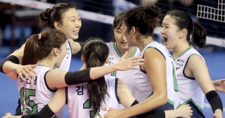 KOVO 프로배구 국내 남자배구 한국전력 현대캐피탈 여자배구 KGC인삼공사 현대건설 KOVO 프로배구 국내 남자배구 한국전력 현대캐피탈 여자배구 KGC인삼공사 현대건설