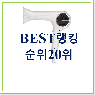  매혹적인 전문가용헤어드라이기  선물로도 좋을거같네요