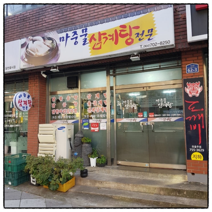 뚜벅이 여자 혼자 당일치기 여행코스 제주 삼도일동 맛집 마중물삼계탕