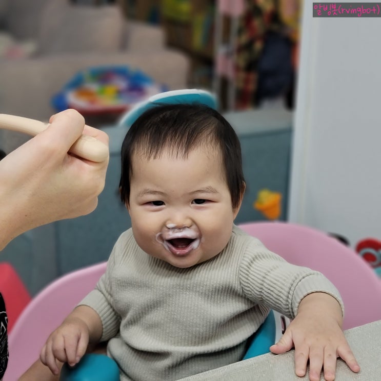  셋째 9개월 차 (273일) 요거트 (떠먹는 요구르트)