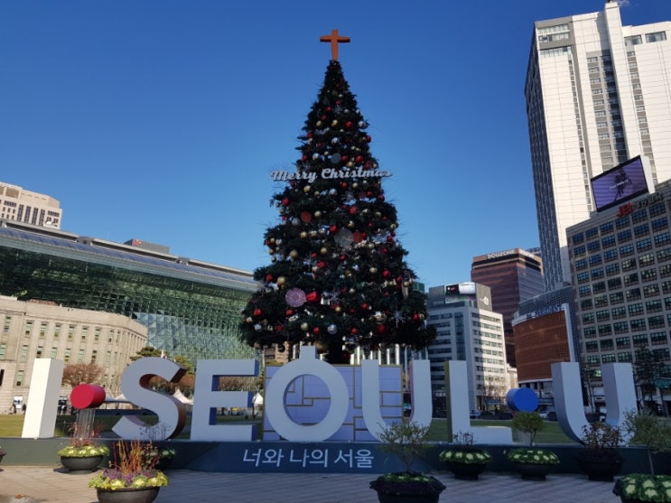 크리스마스 트리를 구경해보자! 크리스마스 트리를 구경해보자!