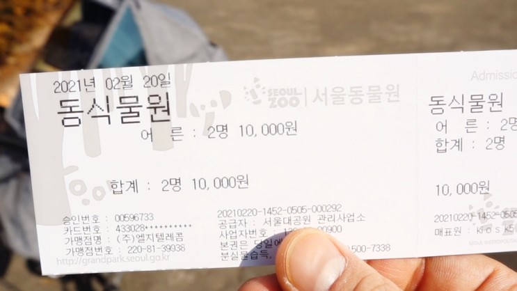 아이랑 가기좋은곳 서울대공원 동물원