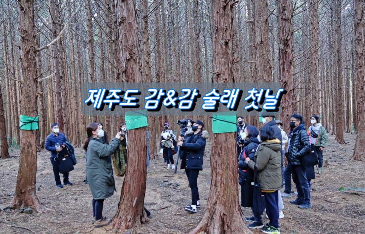 제주도 2박3일 감&감 술래 첫날 제주도 2박3일 감&감 술래 첫날