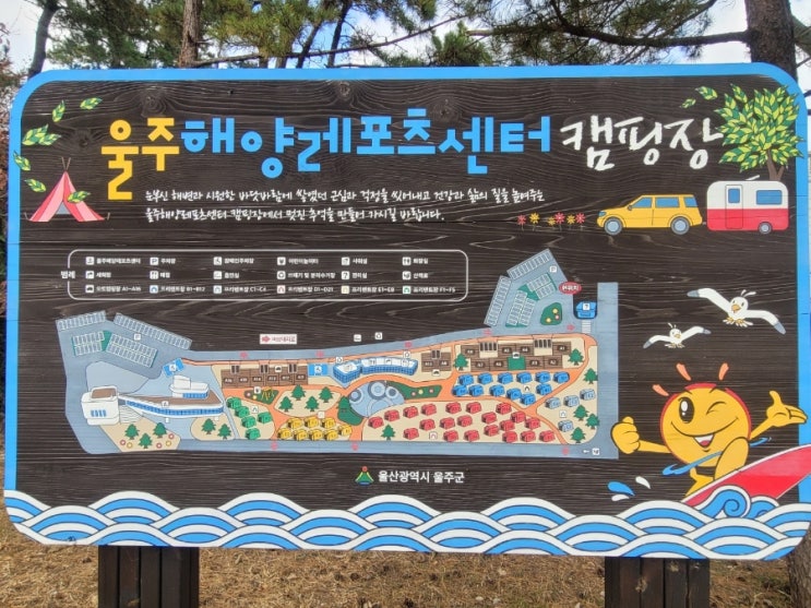  겨울 바다 울산 진하해수욕장 울주해양레포츠센터 오토캠핑장에서 힐링 캠핑..