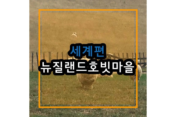  뉴질랜드 호빗마을 반지의 제왕 속으로! 빠져보자