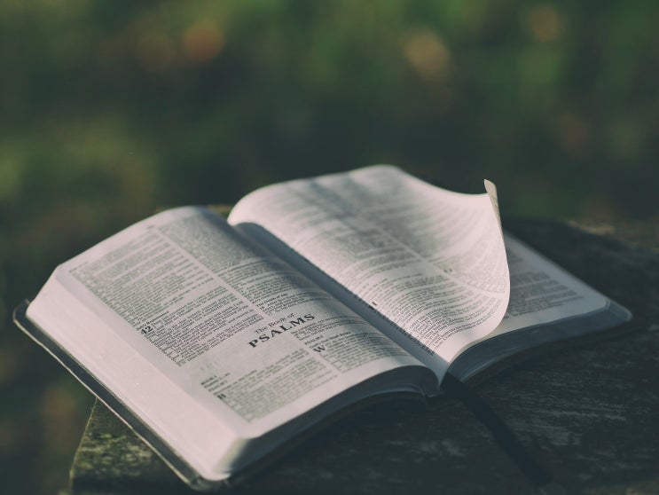  찰스 스펄전(Charles H. Spurgeon) 명언 모음