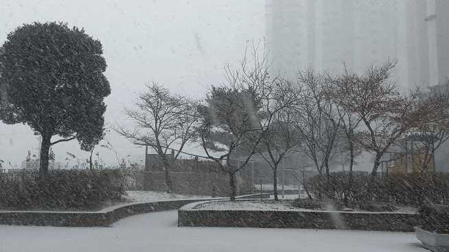  인천은 현재 폭설중