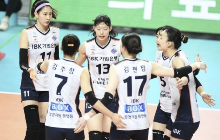 KOVO 프로배구 국내 남자배구 OK금융그룹 우리카드 여자배구 IBK 흥국생명 KOVO 프로배구 국내 남자배구 OK금융그룹 우리카드 여자배구 IBK 흥국생명