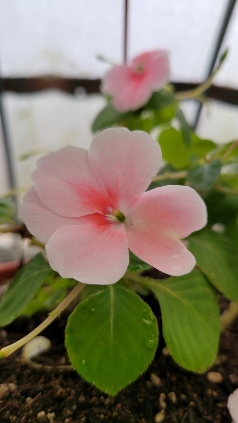 기분좋은 주말 보내세요^.~♡ : 네이버 블로그