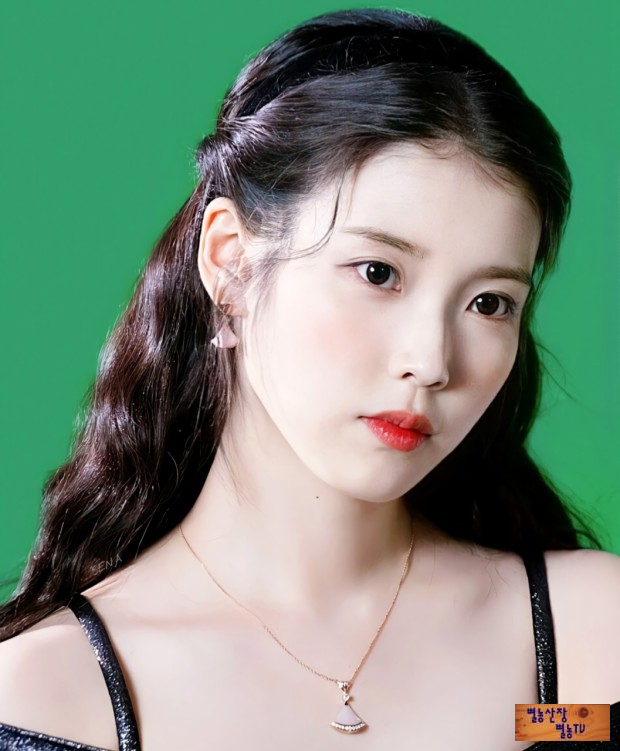  아이유 나이 소속사 프로필 아파트 "워너 청담" 국내 최고가 펜트 하우스 분양가 300억