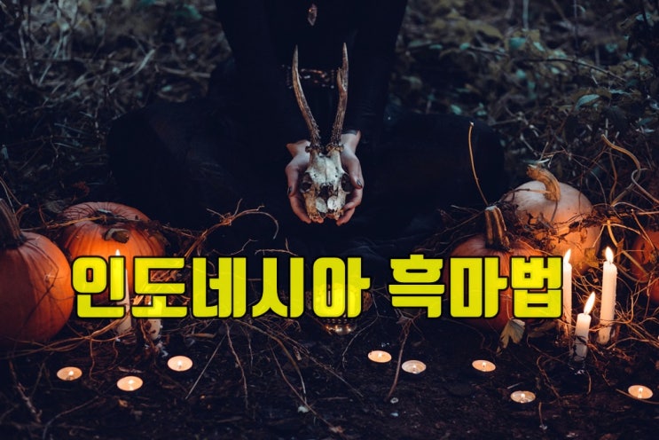  인도네시아 흑마술로 유명한 종족 BEST 4