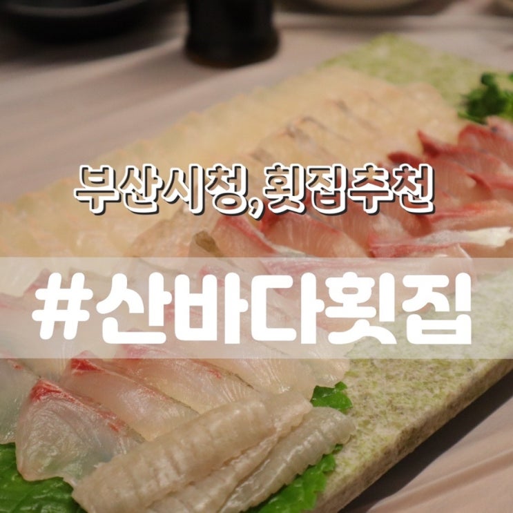  [부산시청맛집] 산바다횟집/ 제철회 가성비좋은 연산동횟집 추천!!