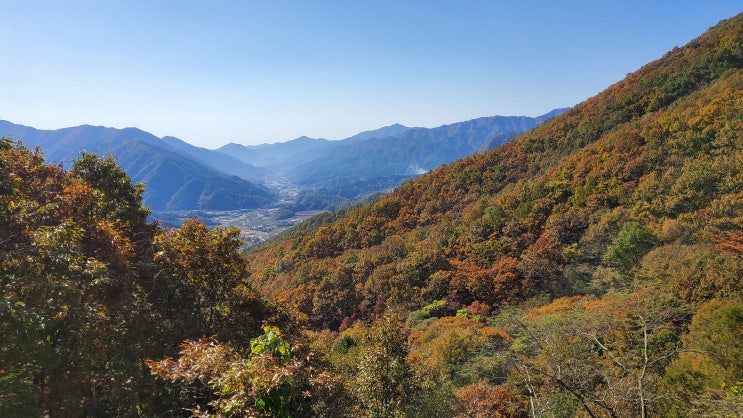  경남 산청 여행 밤머리재 단풍 포토존 여기 딱 좋아