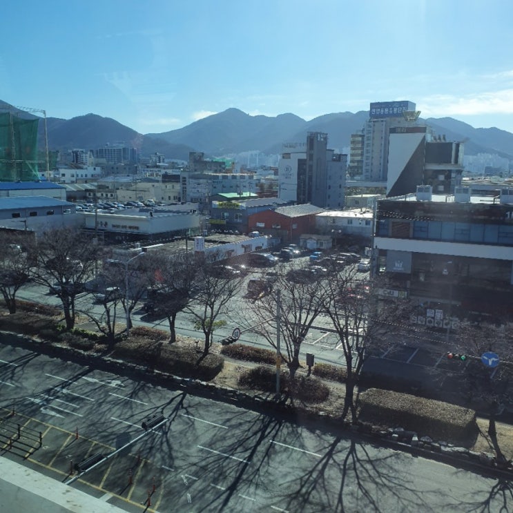  연말 2박3일 부산 여행 중!
