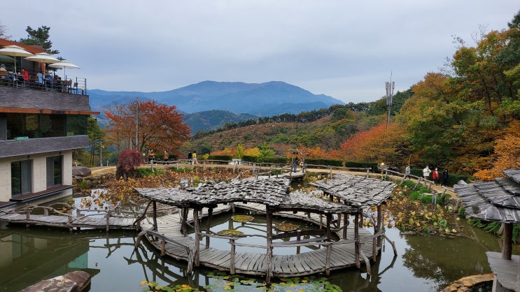  경남 산청 가볼만한곳 수선사 & 카페 모페트