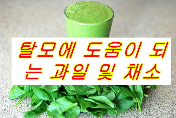  [탈모에 도움이 되는 과일 및 채소]탈모에 도움이 되는 채소 및 과일은 어떤것이 있을까요?