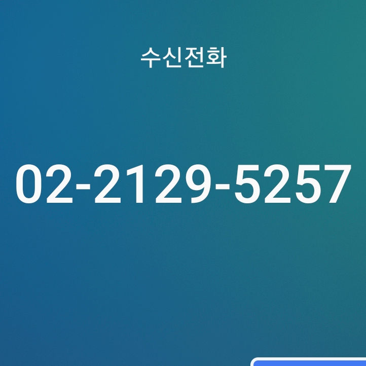  02 2129 5257 (0221295257) 시티금융?