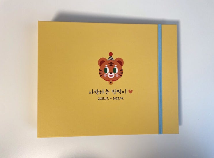  접착식 초음파 사진 앨범 구매 후기