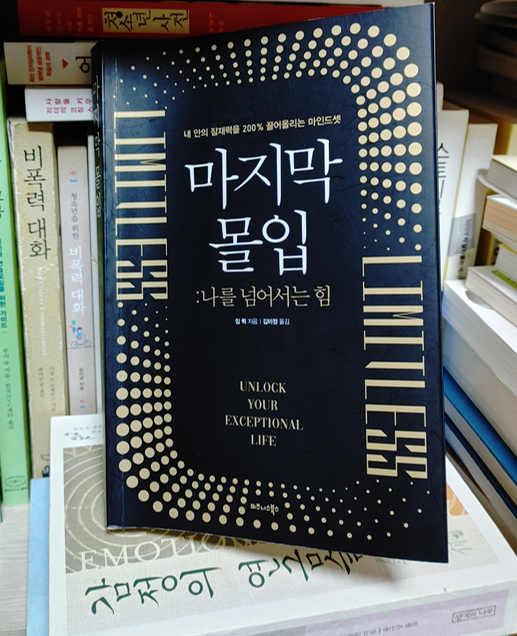  마지막 몰입: 나를 넘어서는 힘(마인드셋,동기,방법의 한계돌파) by 짐퀵