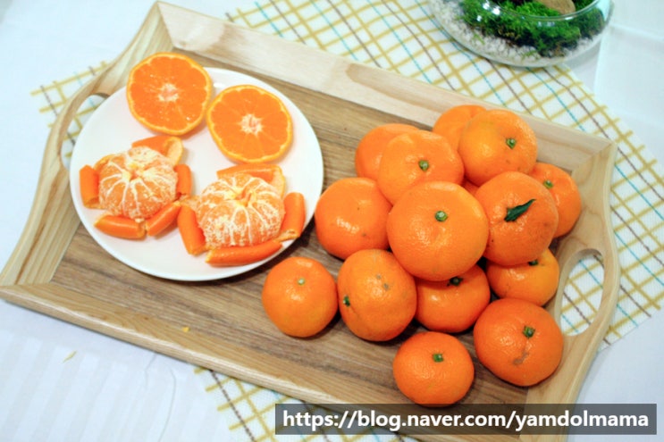  겨울철 최고의 간식 제주감귤 제주따온농장 귤 10kg