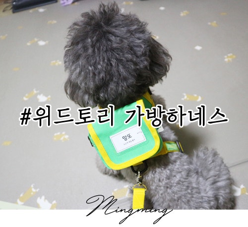 위드토리 3초하네스 , 가방하네스 메고 유치원 가야겠넹