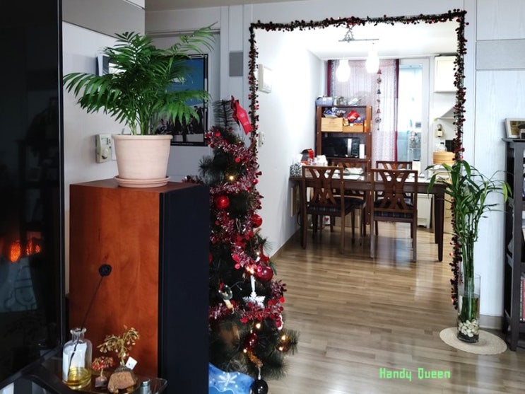 크리스마스를 맞이하는 실내화분 플랜테리어 / 거실 & 베란다 정원 식물 기르기