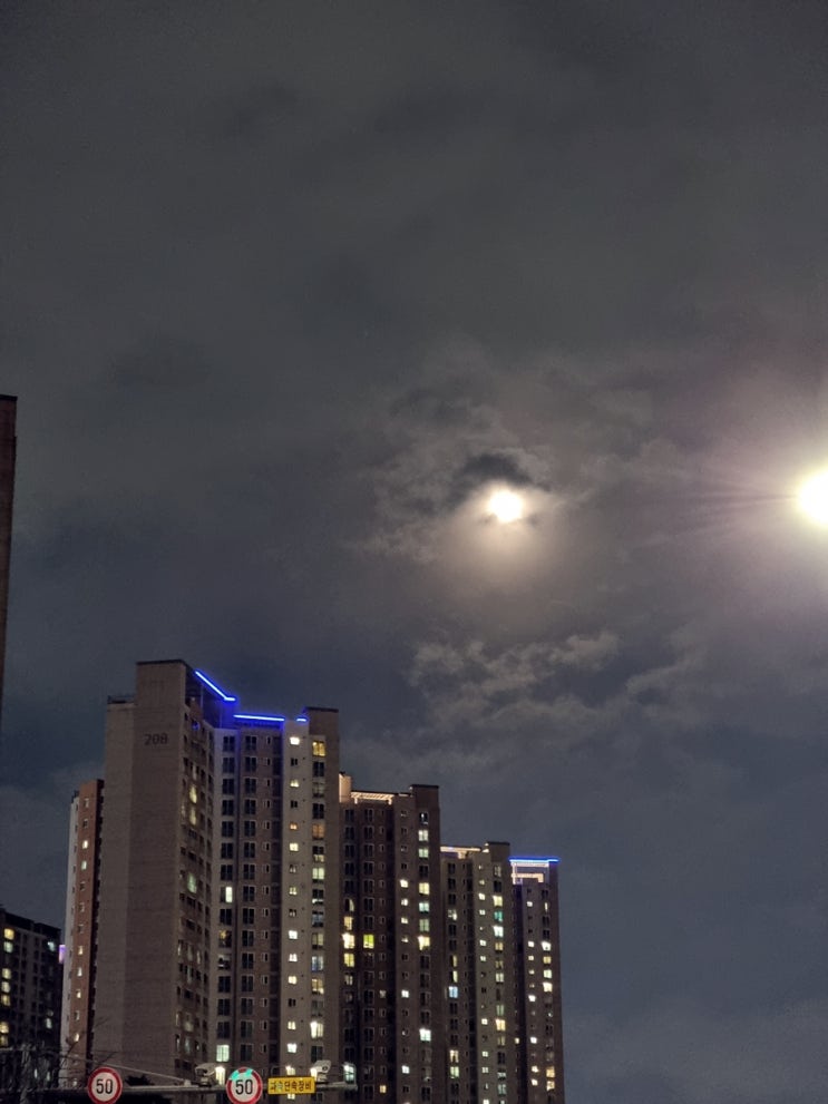  2021년 12월 18일 수원 첫눈 다운 눈 오다
