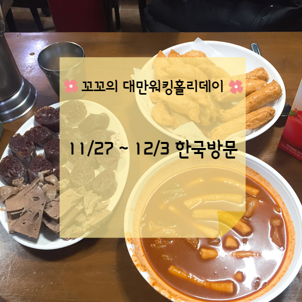  [대만워홀] 대만에서 한국으로 1주일간 여행 (11/27 ~ 12/3)