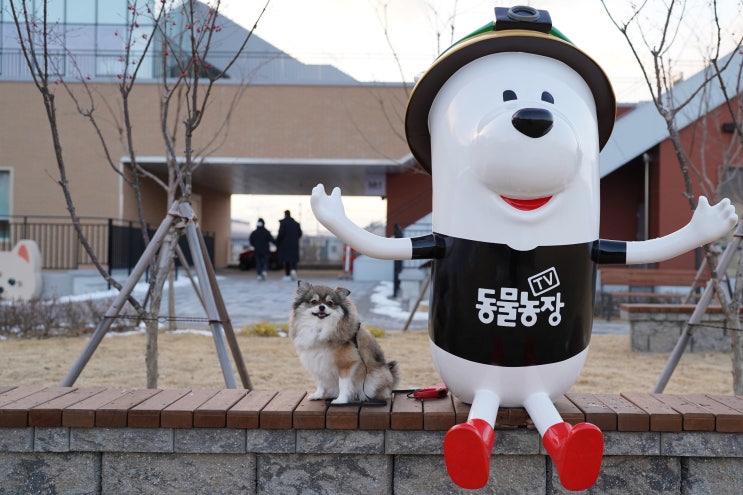  오산 TV동물농장 반려동물 테마파크 오픈! 3월부터 유료화