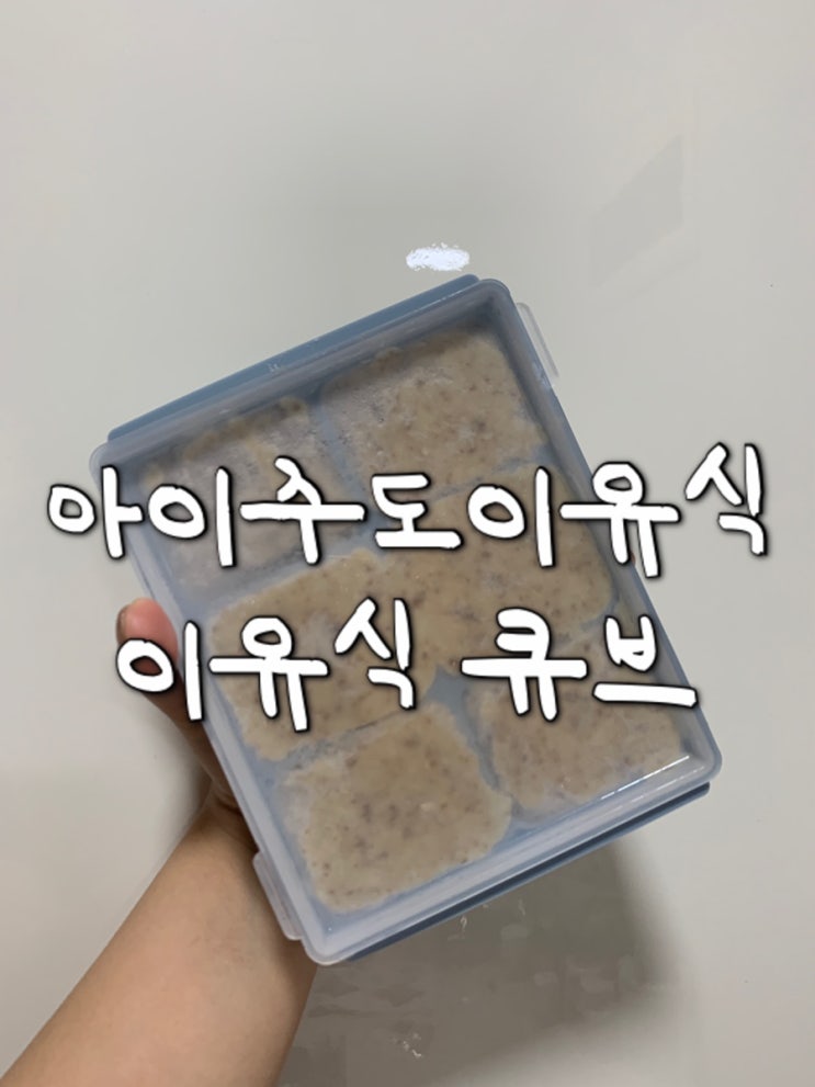  [내돈내산] 나만의 아이주도 매시 스틱 냉동보관방법/에디슨 실리콘 이유식 큐브