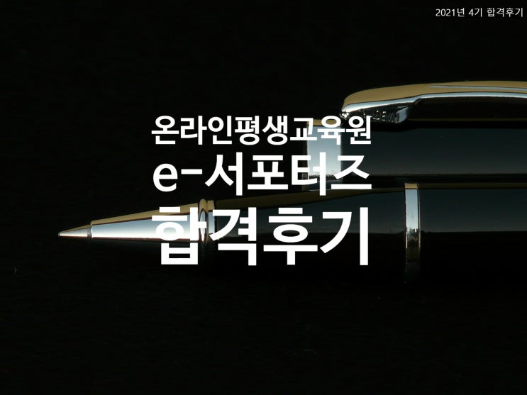  [STEP] 2021년 온라인평생교육원 e-서포터즈 4기 합격했어요 
