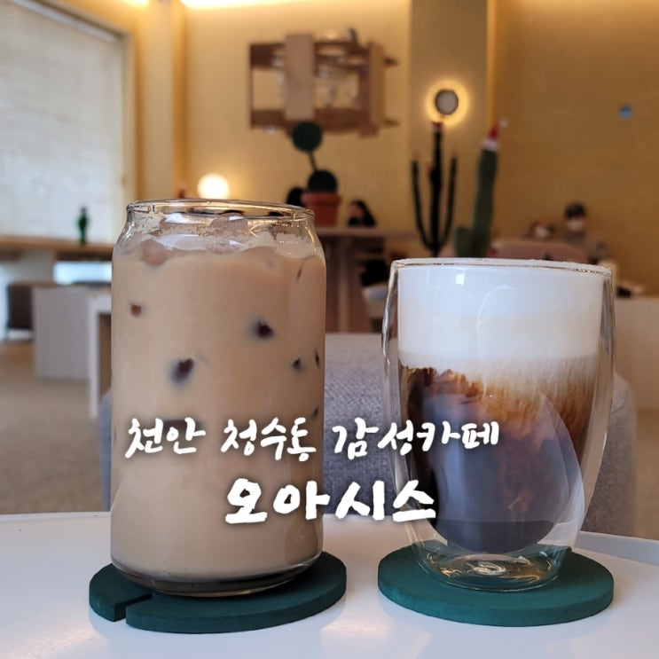  오아시스[충남 천안 청수동 감성카페추천  feat 내돈내산후기]