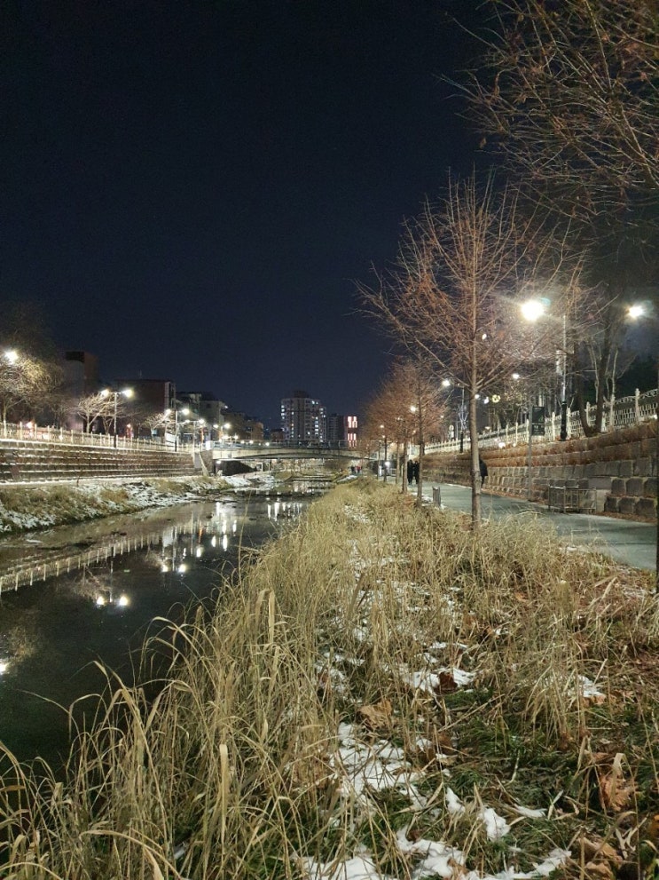  오늘도 한밤중 운동️