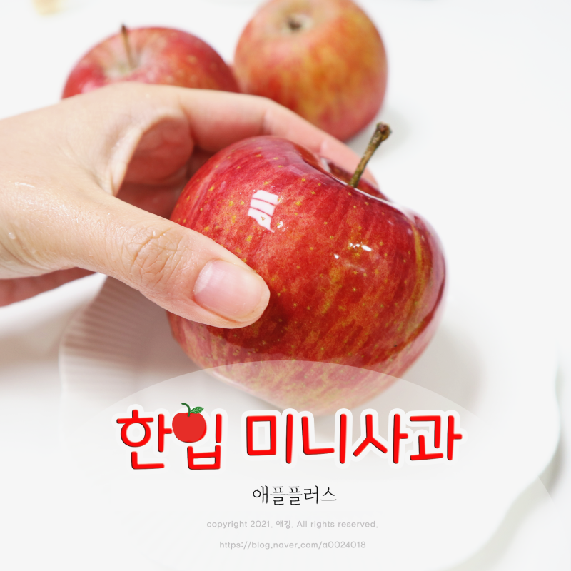 한입 크기의 미니 흠집사과 거창사과10kg 애플플러스