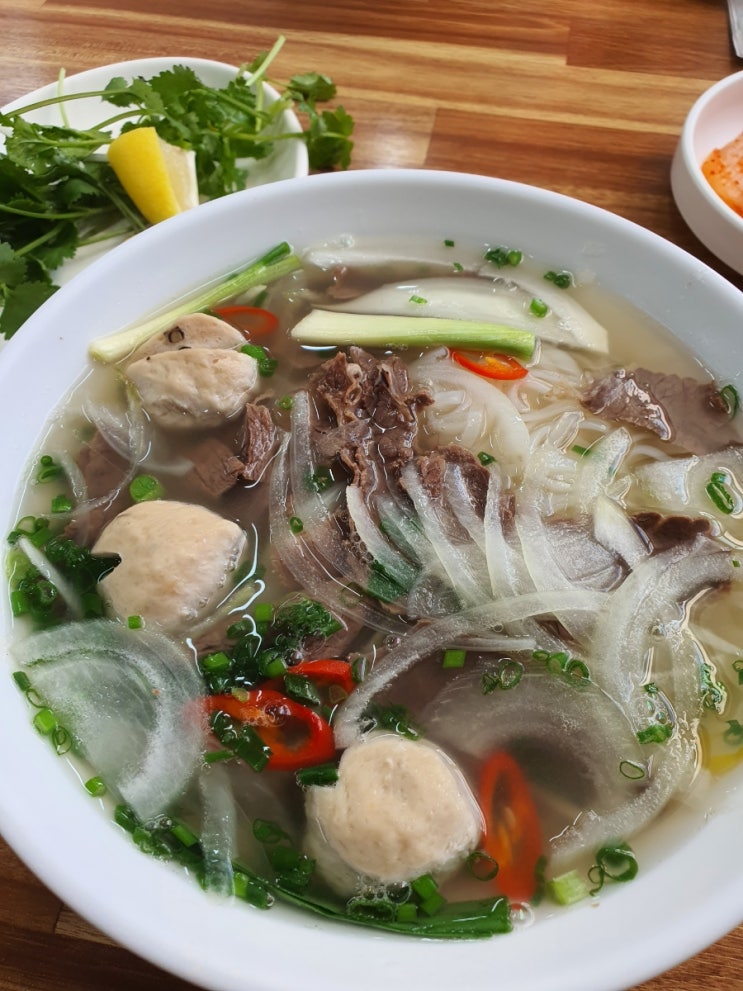  순천 불독남매 산책후~순천 베트남쌀국수 no.1 내돈내산 찐~맛집방문