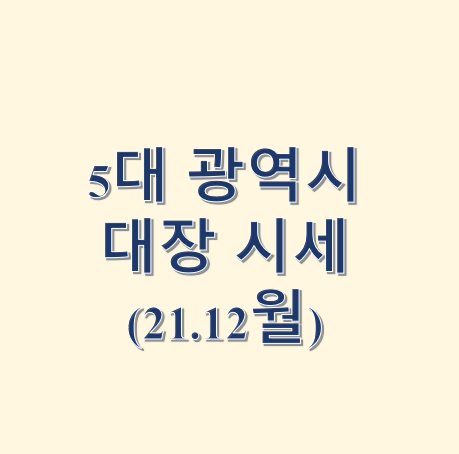 5대 광역시 대장아파트 시세 트래킹(Ver. 21. 12월)