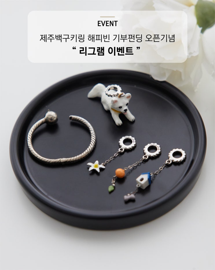  Wear a wish 해피빈펀딩 제주 유기견 후원 커스텀주얼리