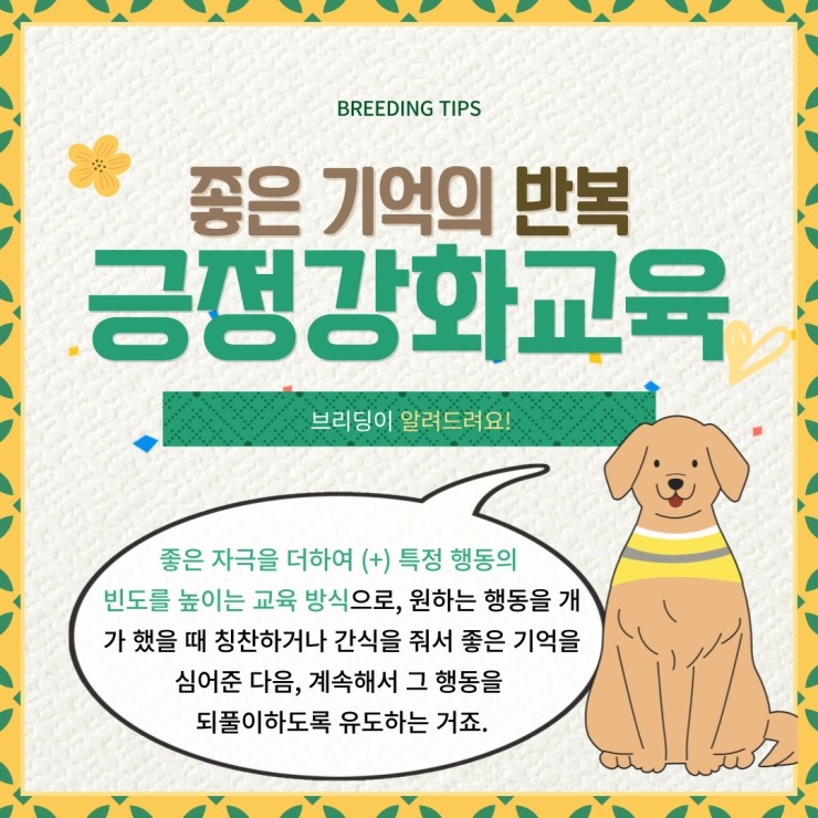 반려견을 위한 교육 방식, 긍정강화교육 반려견을 위한 교육 방식, 긍정강화교육