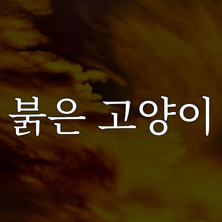  2ch 붉은 고양이 / 현실 공포 이야기