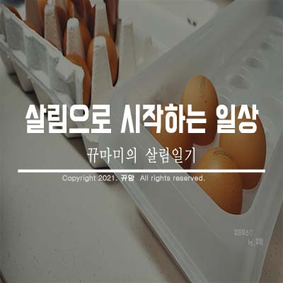  나의 일상들 살림으로 시작하네요