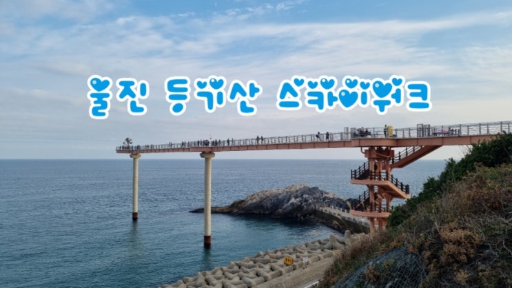  울진가볼만한곳 등기산 스카이워크 등기산 공원