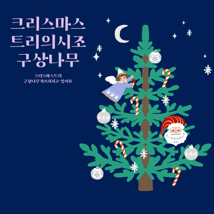 크리스마스트리의 시조(始祖),한라산 구상나무(Korean fir)!