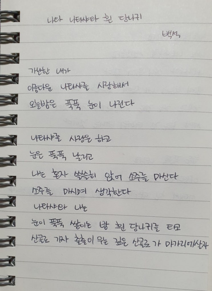  오늘의 시와 음악 - 나와 나타샤와 흰 당나귀, 깊은 밤을 날아서