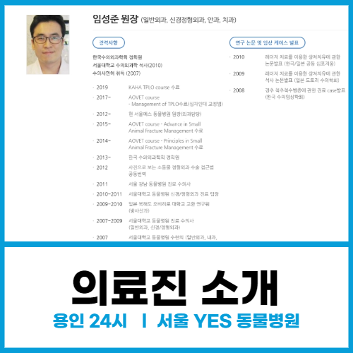 용인 24시 서울 YES 동물병원 의료진