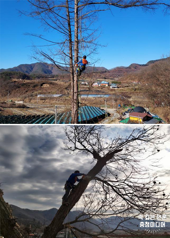  [충청미디어] 괴산군, 2021년 산림일자리 창출 전국 최우수 기관 선정