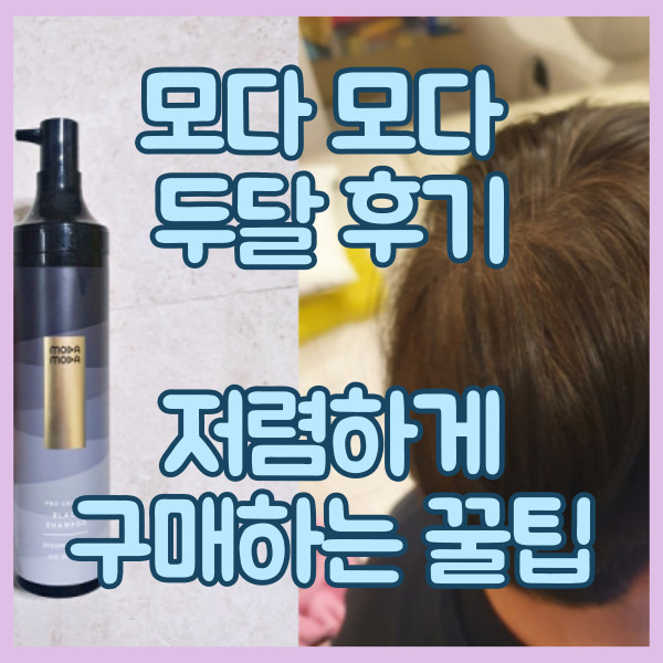 모다모다 블랙샴푸 후기 사용법 및 모든 정보
