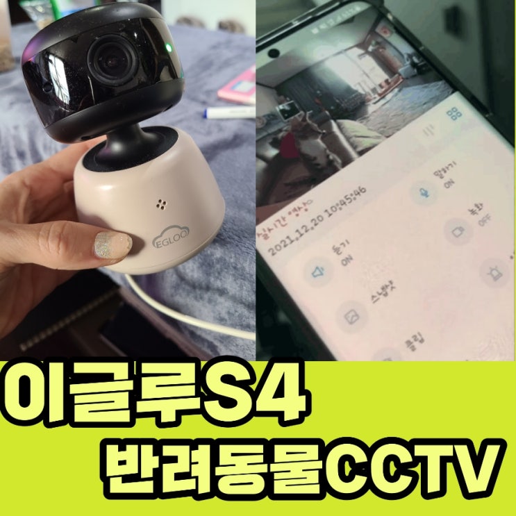 이글루S4 홈카메라 반려동물 펫CCTV 설치 및 SD카드 사용후기